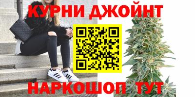 молекула духа Заводоуковск