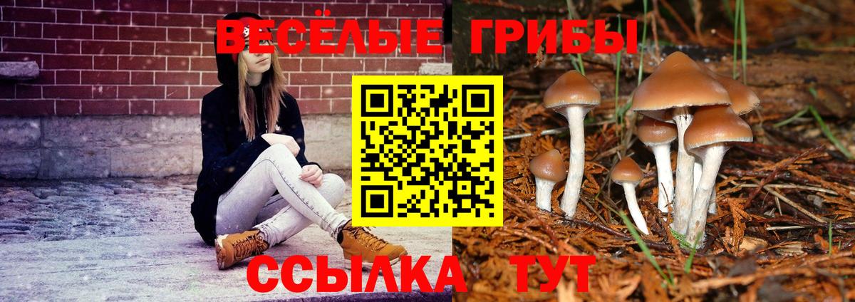 Псилоцибиновые грибы Psilocybine cubensis  Вход с VPN  Нурлат 